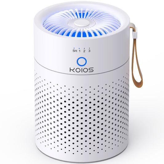 Portable Air Purifiers For Home Bedroom H13